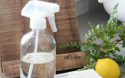 Tiny Home, Big Clean: Spring Cleaning Hacks for Your Cozy Abode
